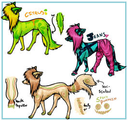 Scenedog adoptables No. 3