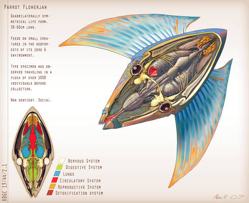 Zero G Anatomy