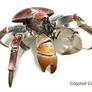 Coconut Crab - Birgus Latro