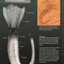 Birrin Evolution - Basketworms