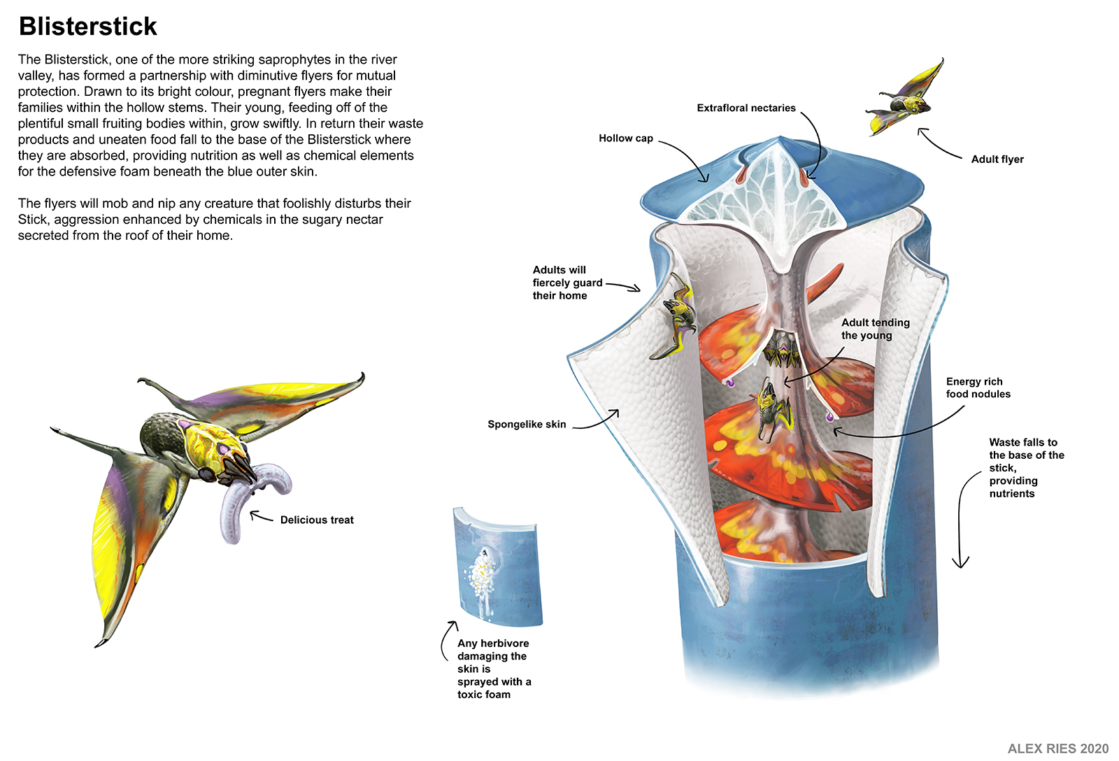 Inside the Blisterstick