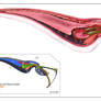 Alien Anatomy