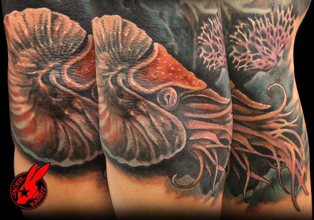 Nautilus Tattoo by Jackie Rabbit