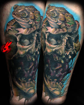Healed Toad Skull Tattoo by Jackie Rabbit