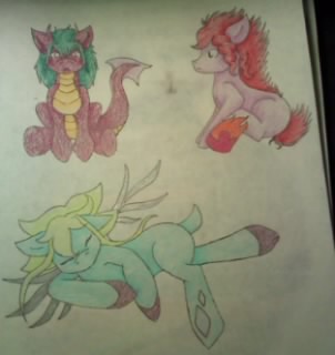 ota pony adopts