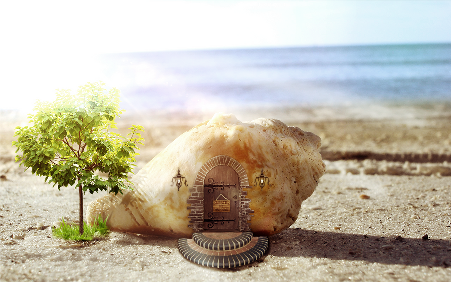 Shell Life by GunnarEdits on DeviantArt
