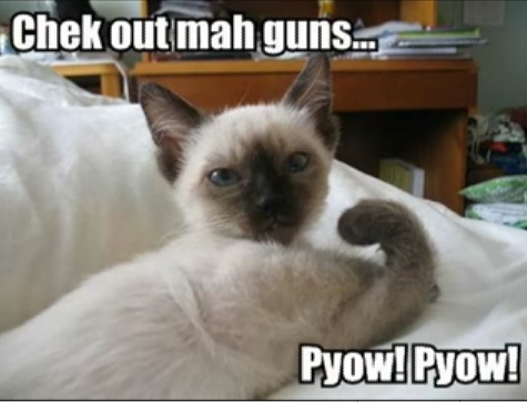 Cat guns