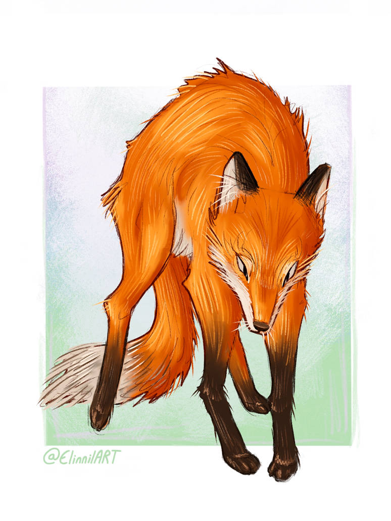 Deviantart Limber Fox Fox by ElinnilART on DeviantArt