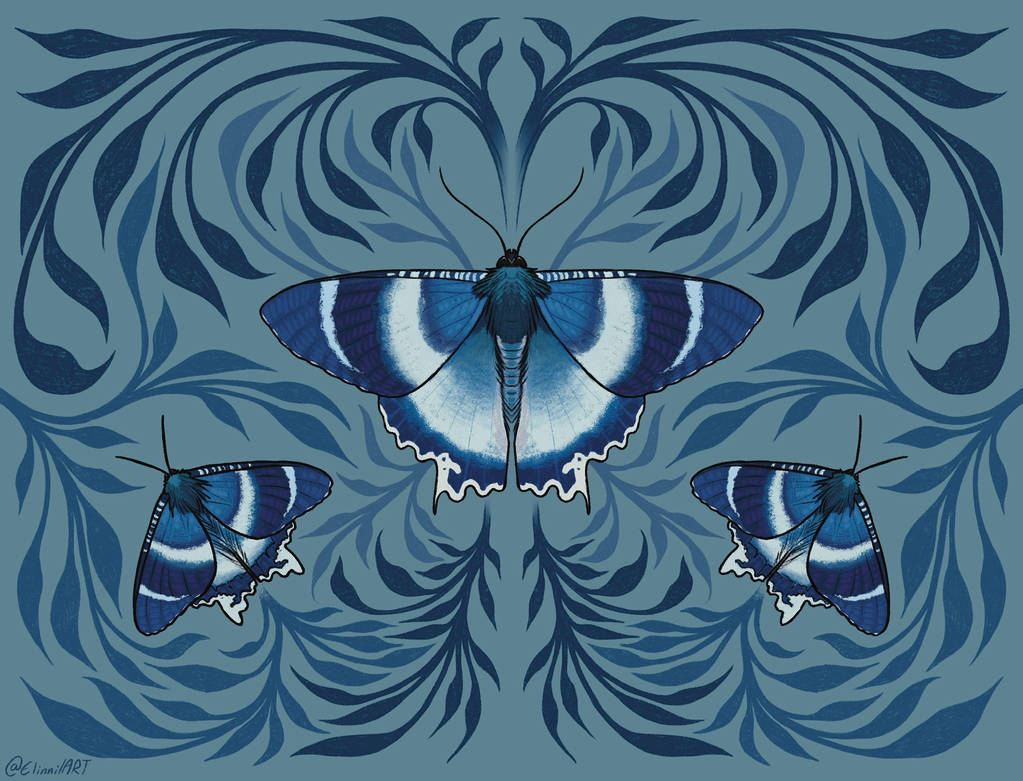Moth Patterns Blue 3 blue moths by ElinnilART on DeviantArt