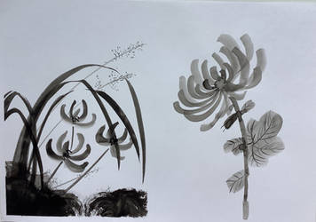 Sumi-e Orchid and Chrysanthemum