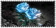 Blue Rose Stamp by SecretKarmaSerenade