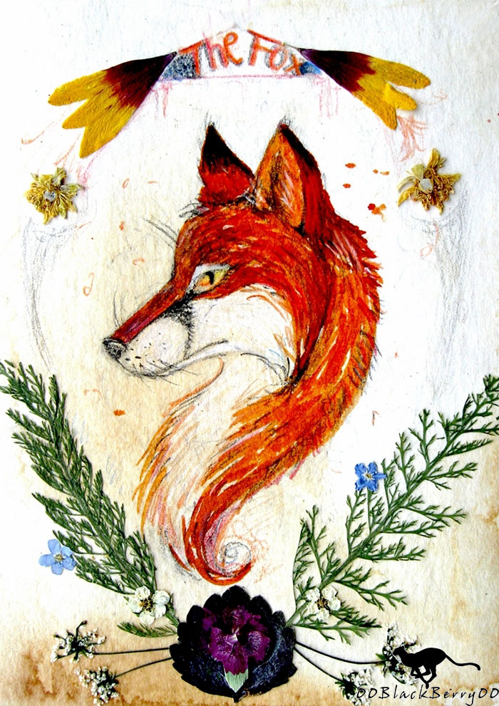 The Fox.The Blood of the Bold.