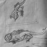 Nameless lizard Oc Original sketches