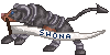 Shona Pixel Banner Commission