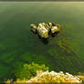 Green Water