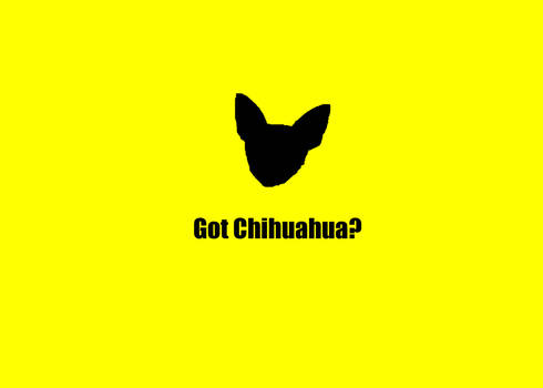 Got Chihuahua?