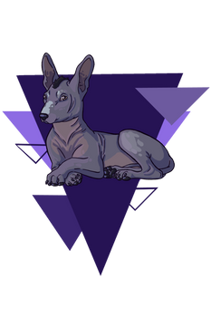 Doggo December 9 xoloitzcuintli