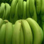 green bananas