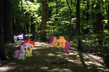 CMC in the forest.