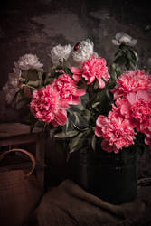 peonies