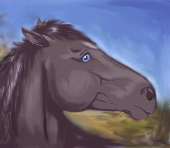 Alado - Step 3 The Picture by LA-Woman on DeviantArt