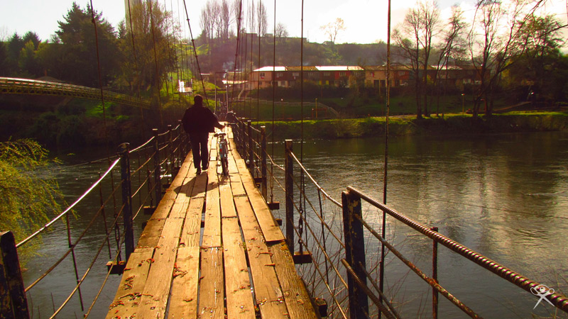 Suspension Bridge in Osorno 12