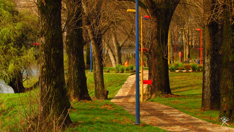 Park in Osorno 6