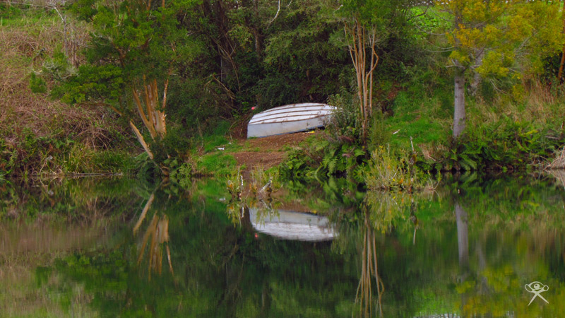 Lagoon in Pilmaiquen 6