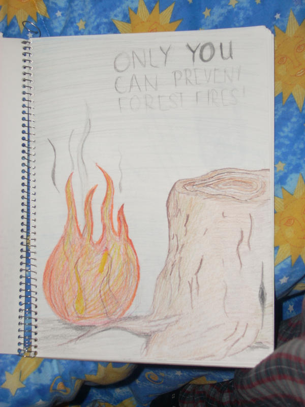 Forest Fires by Carlys-Rad-Artwork on DeviantArt