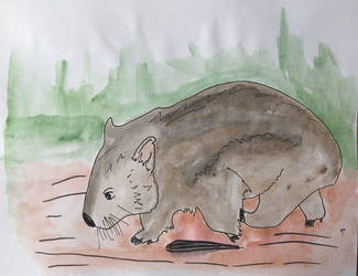 Wombat