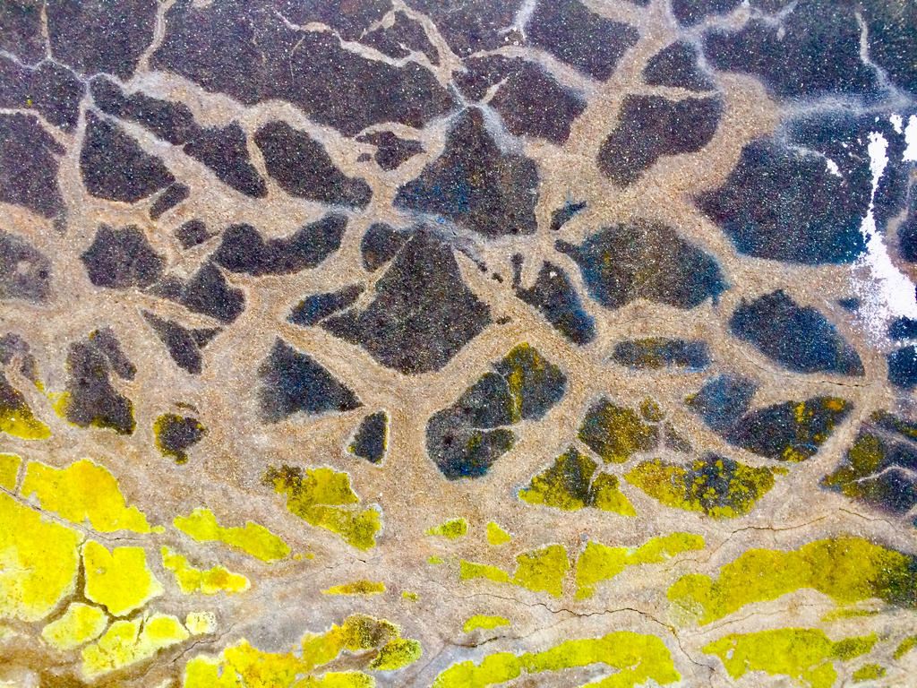 Wall