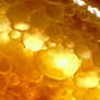 Bubbles