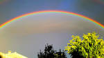 Rainbow by mockingbirdontree