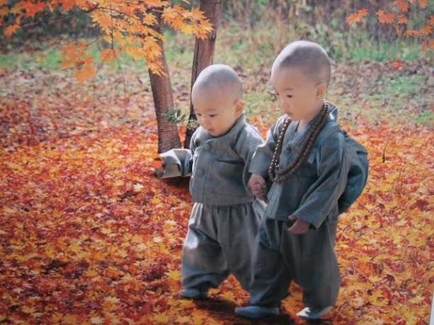 Little Monk Boys