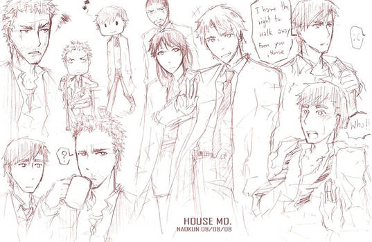 HOUSEmd : just doodles...