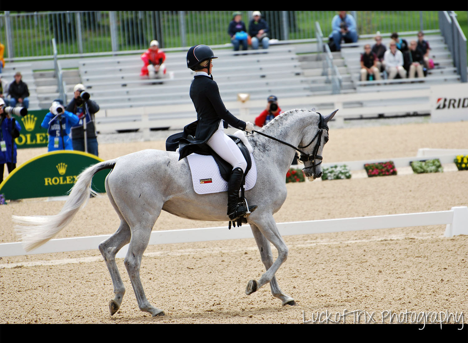 Rolex 2014 Dressage 8