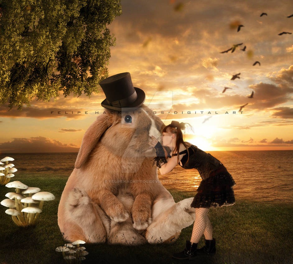 Big Rabbit Art Big rabbit by FelipeHackiptos on DeviantArt