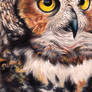 Great horned owl