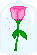 A rose by any other name