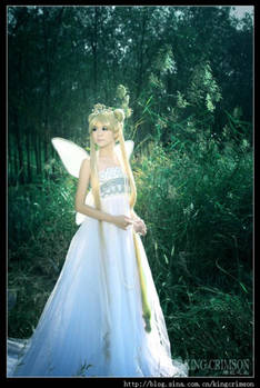 Princess Serenity::