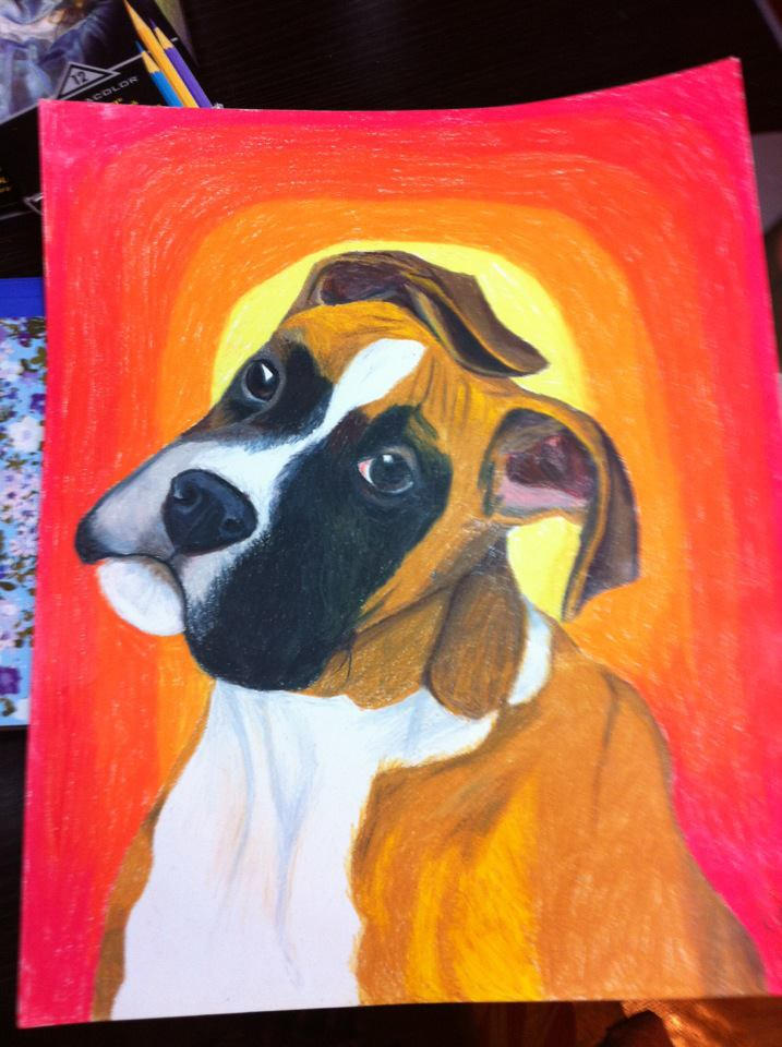 Deviantart Boxer Dog Boxer Pup by roseshadow13 on DeviantArt