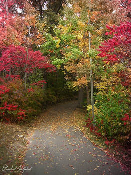 Fall Path