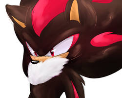 shadow the puffy chesthog