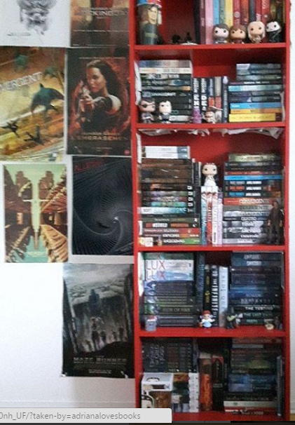 Organized Bookshelf by adrianaTheGirlOnFire