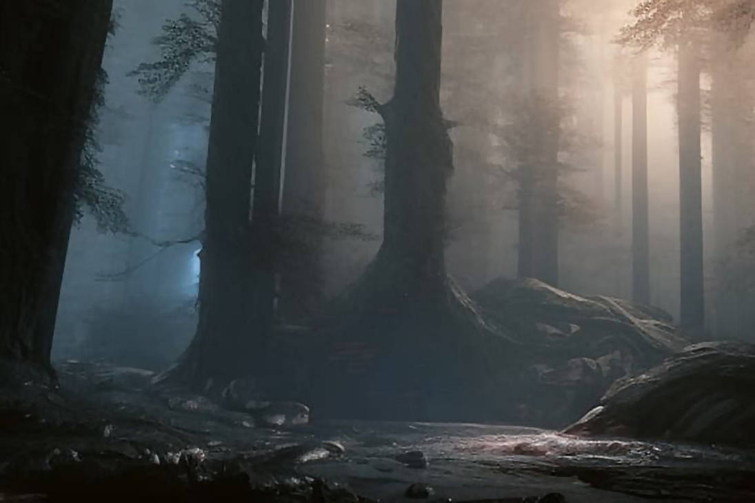 Dark Forest by Caldrail on DeviantArt