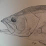 Largemouth Bass Pointillism