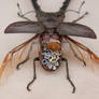 Long-jawed stag beetle, gears