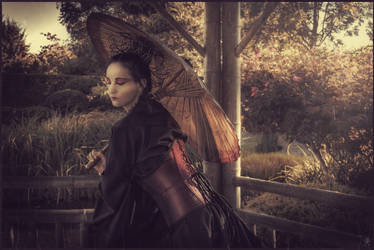 Dark Geisha II