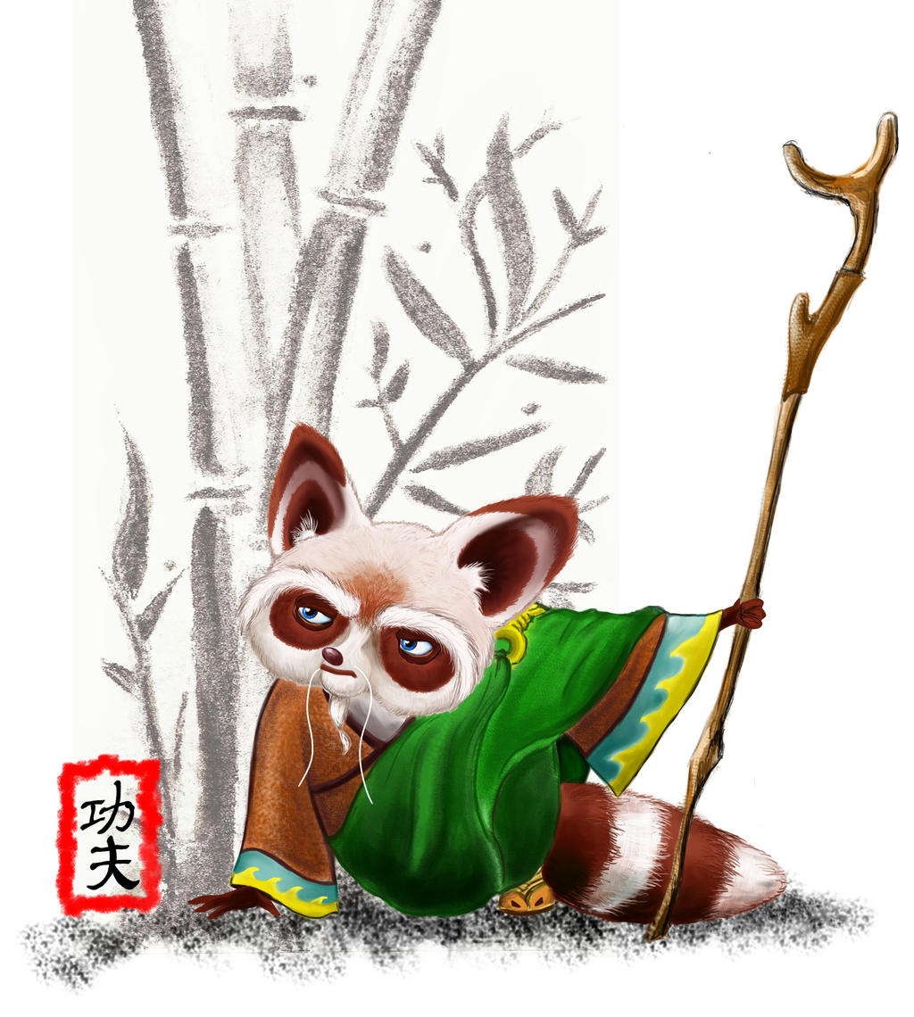 Shifu Style Kung Fu Shifu by TheArtsyAardvark on DeviantArt