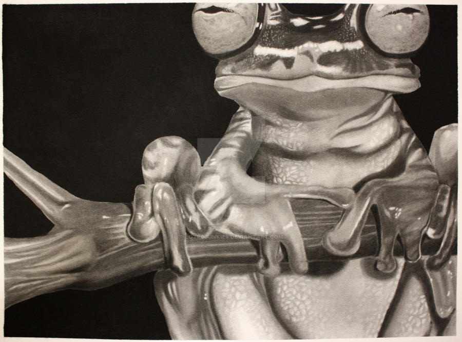 Gerbert Frog Herbert the Frog by Lotr0Junkie9 on DeviantArt